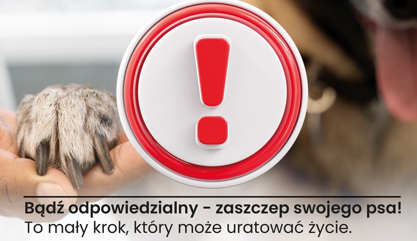 Wścieklizna - śmiertelne zagrożenie dla ludzi i zwierząt