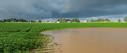 Wystąpienie siły wyższej a dopłaty