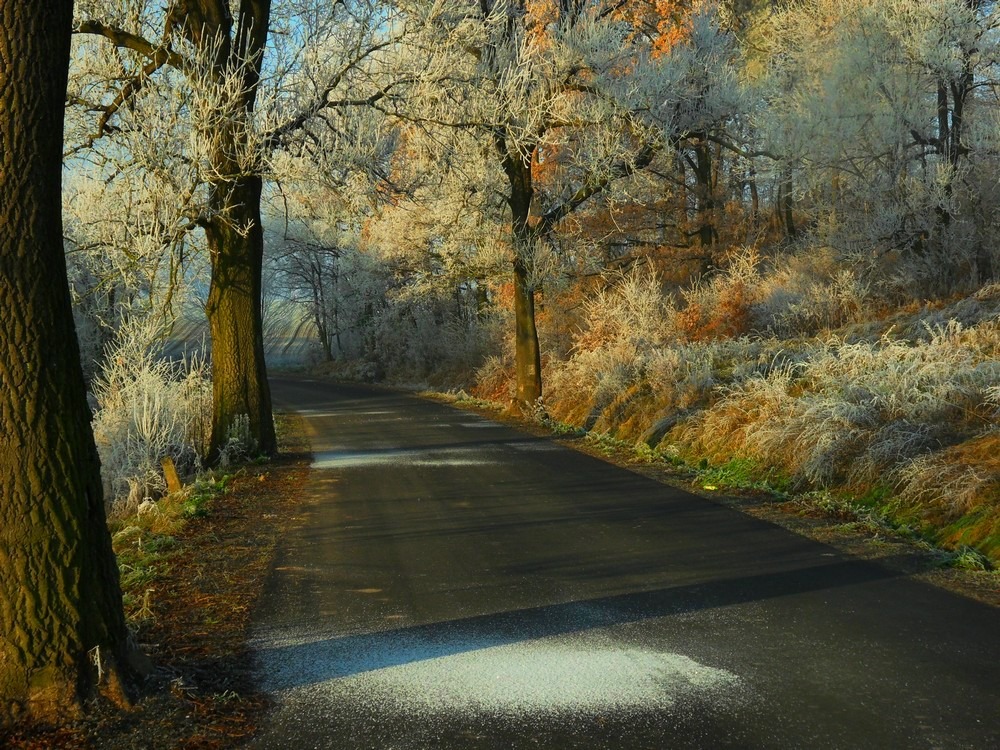 Malowane szadzią i mgłą