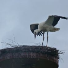 04866f3824968e328800cb4023b9ee0c