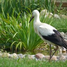 14a78d6d9553b560dbeb7432f32dedbb