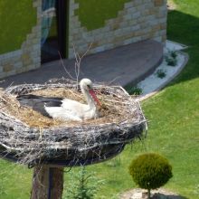 33bdca2ce14b2761398bba478329c06d