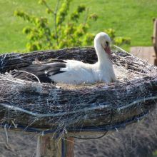 6e931fdc95e4f6c69676881ac72f2556