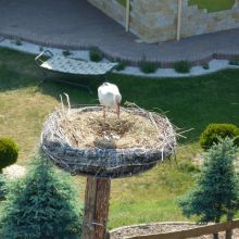 ee9205d9d306b7b465ee7b5dd2f6b3d6