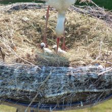 f1d114c40c835d36c376a91a310ab389