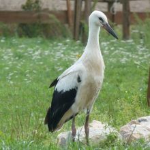 f5b53ca3d117655164d297f6ff6f6b28