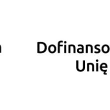 logotypy fedds kolor poziom