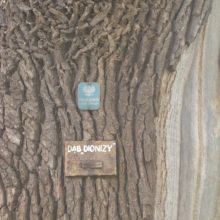 34e8a9902f3fbc7a559e4fbec0d00260