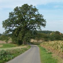 5272b85b1037f10ce314c9c147ad345f