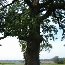 577ab9a636642ad7c846e271decbb83a