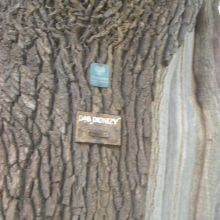 6680f9c2835898e3e74d3a9159e99e3e