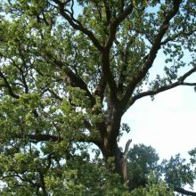 b1d557de7f5bfb195dd261cb412bfa08