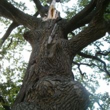 e01ee40b0c95a43210810eee8f8767c4