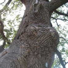 e0813f03934760f0fc8c1b4971902570