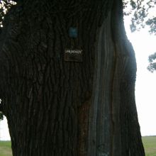 f006b15d29d656d4df4b500f14a2d86d