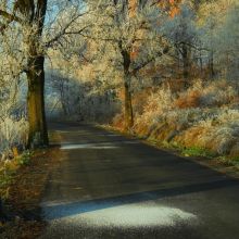 0b3c0bbee1508050690e15162e45d449