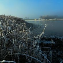 0f931aa0832b60584a20d08c3be70432