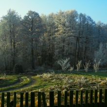 24c3780a9f09dbcb729912db3a6b571f