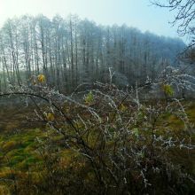 6ac141d15f87fbeb95efbfa2339358eb