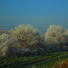 707462b50817e1f0fc959986bac262bb