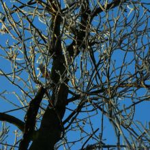 7fc9e53688266ebee94b20e1b22f6630