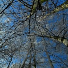 8bdaed9bf138af83a54c30f04268ea24