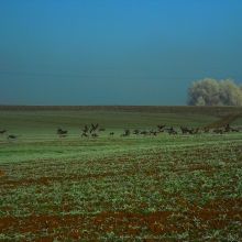 9752038b3d6a1db06e958118aab13635