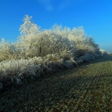 a013612e4263ebc45efd654726cdc7a3