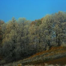 b74bddeb53e4e92521dc6cd2bd419708