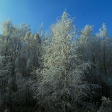 bbd12dabc51339976b320774d6520aad