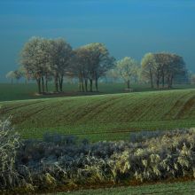 caa601fd6f14e0c6eebed9b19c500a57