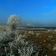 f4715f93fea67df63c03609e1a8279e3