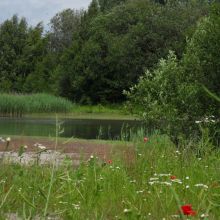 04704149254a5ecaf1f3dac77b2619b9