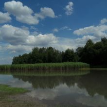 08fca4c94a91f729e14f692d12d0c270