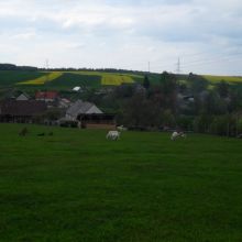 0f29671dcf6985635e07fb3798708cb0