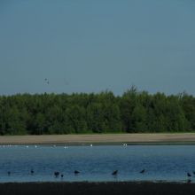 16886a9e54abd2c0a3c1e13fa7e42540