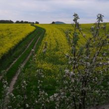 285b73ed8719744361b2a47c6323fdd6