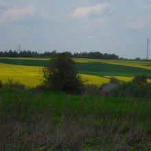 3d4c5dfa9bc5e48747205b21afd89ba9