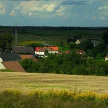 46687b3687699503ed94538421bdb21b