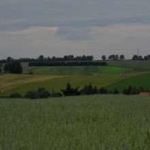 544d83d661a6115b76cecbc6a0497570