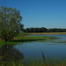 72121df3ac21d9d1fce02fef124fd0c0