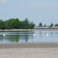 81bf99c3e69e108e2cc3ff65ccb7be4f