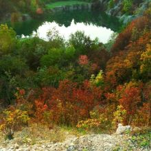 84a97505dbfe5c8473ef3d9ef37f45b2