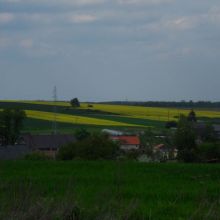 8b61f5f7c79f44eca7a1665beeb5fe89