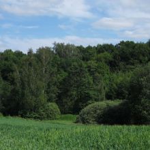 91752022141313a24daa5eaed2115f20