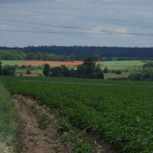 aed22408c79ba2f45810b136eabe075a