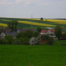 c036d220178ede009611079753126e02