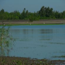 d9b72e45af1e7c3a43f3510dafefb3bb