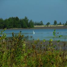 db13f554838cbe60c11a1e81a83bb001