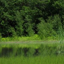 e66d47f16283855c33fa7836ed2624bb